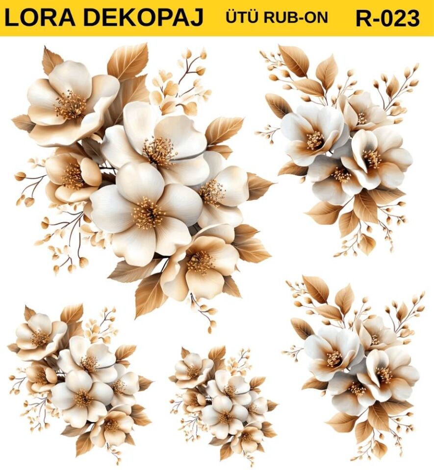 lora rubon transfer 23