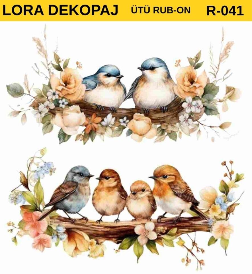 lora rubon transfer 41