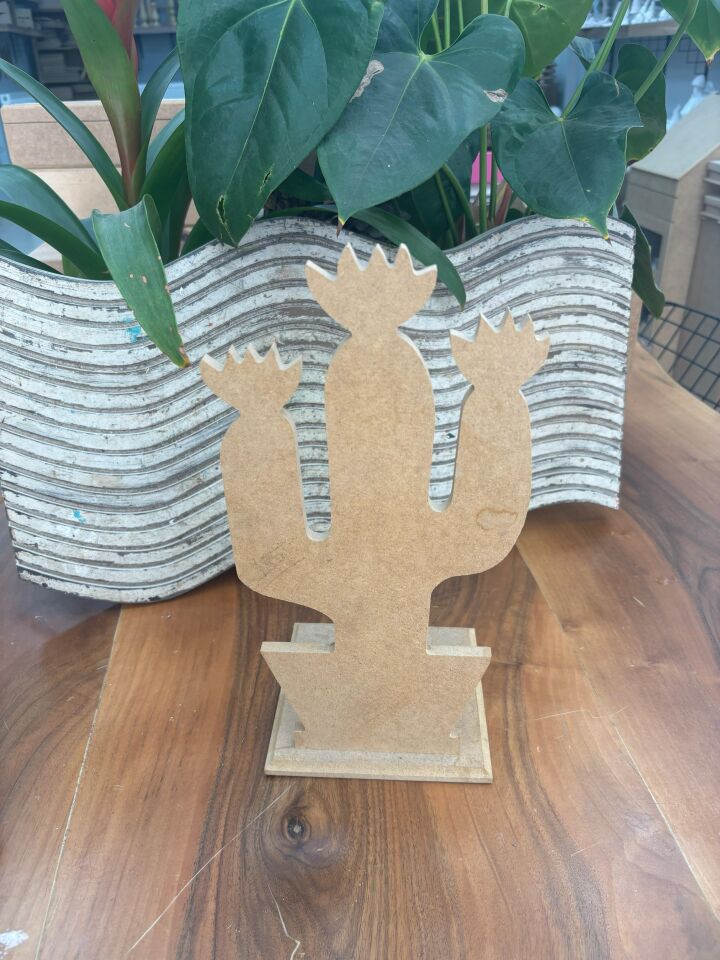 Kaktüs Kağıt Havluluk