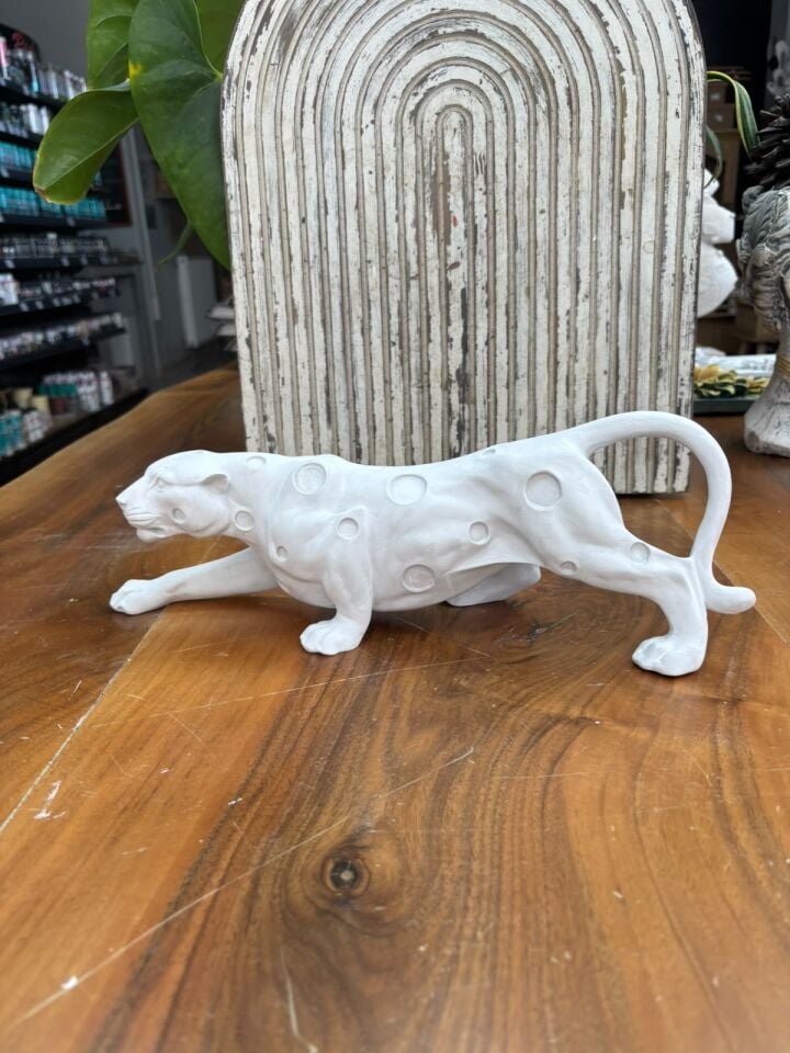 Benekli Panter