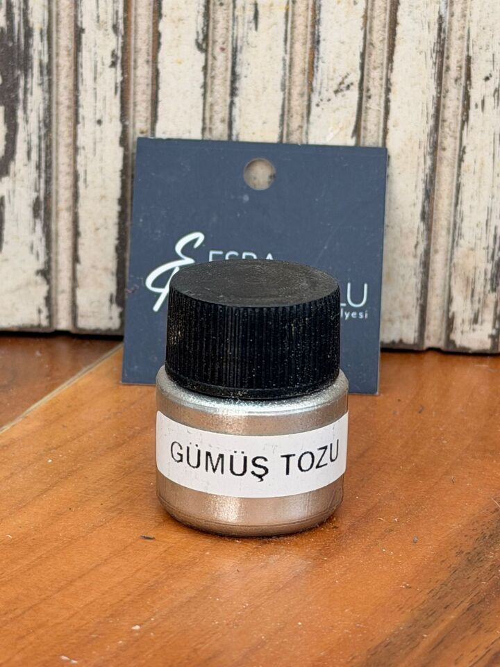 TOZ PİGMENT GÜMÜŞ 20CC