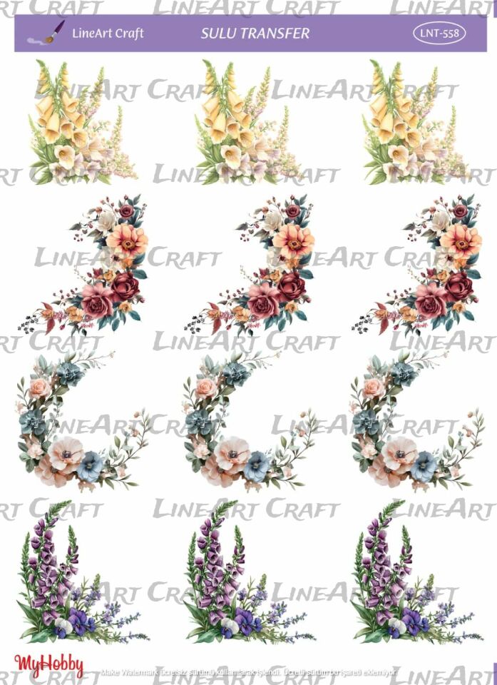 line art sulu transfer lnt 558