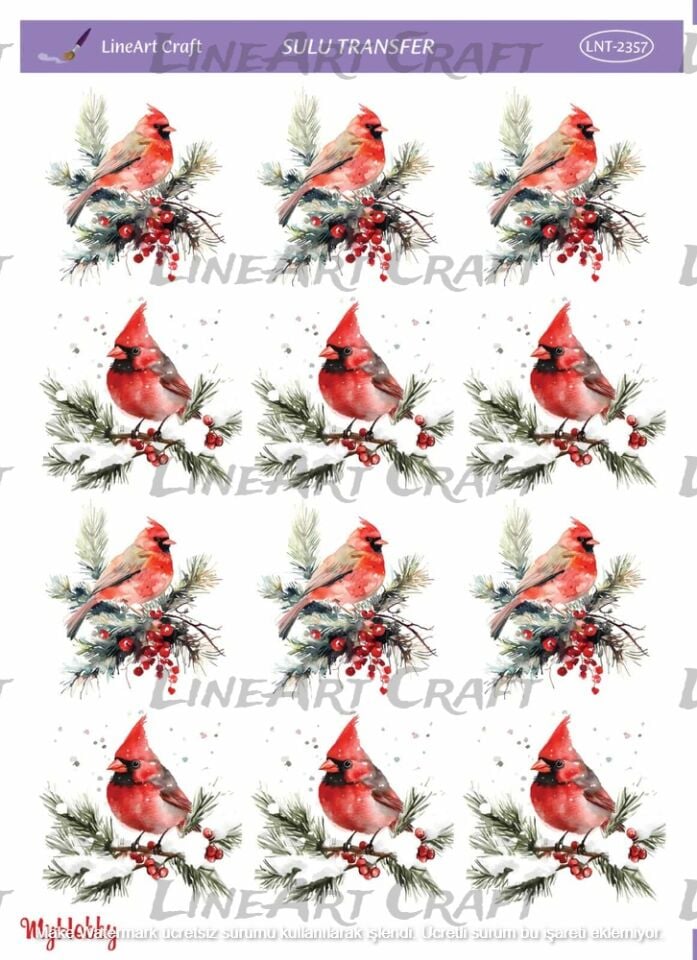 Lineart Sulu Transfer LNT 2357